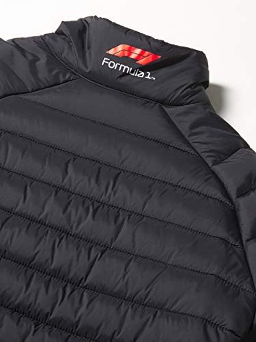 Gorivo za fanove Formule 1 mens podstavljena puna zip jakna