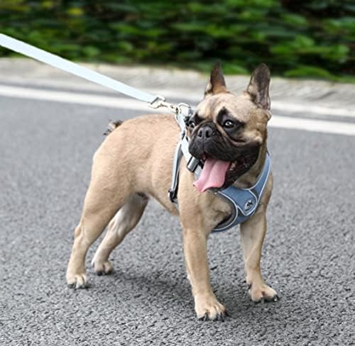 Vkherokv PT-09 štene za kućne ljubimce bez povlačenja kabelskog snopa za šetnju sa povodljivim reflektivnim