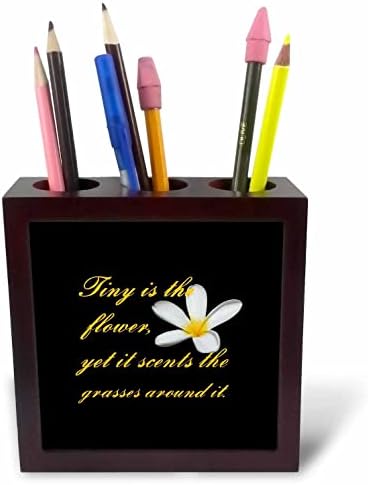 3drose Tiny je cvijet, ali ipak miriše na travu oko njega-držači olovke za pločice