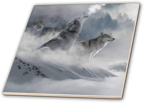 3drose Fantasy Wolf Wolves životinja sa oblacima-keramička pločica, 4-inčni