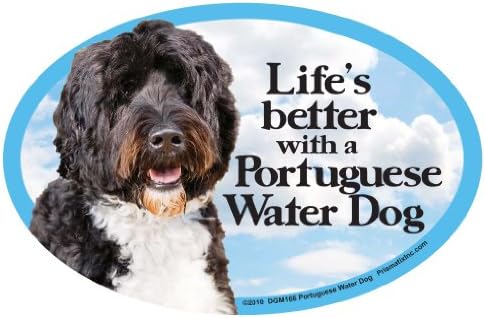 Prismatix portugalski vodeni pas Ovalni pas za automobile