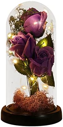 Valentinovo poklon ukras ruže prozirni akrilni naslovnica svjetla Emittit Dekoracija Kreativna svjetlost