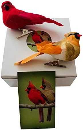 Kardinal dekor set s kopčom muški i ženski love ptice kardinali sa kutijom priče