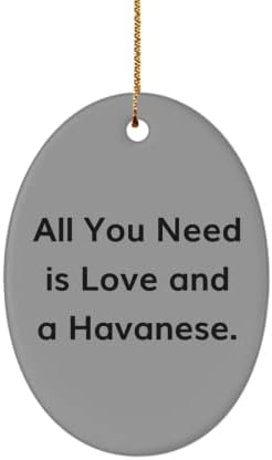 Zabavni Havanski pokloni za pse, sve što Vam treba je ljubav i Havanski, lijepi praznični Ovalni Ornament
