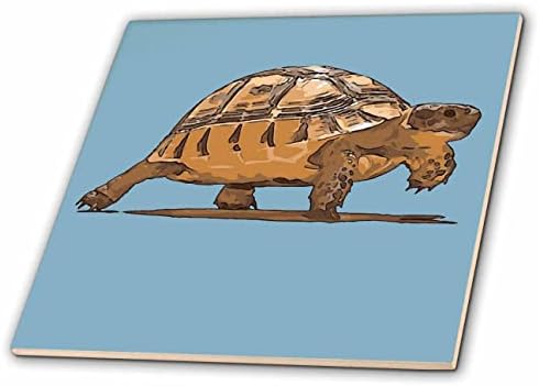 3drose Cartoon Portrait of Wild Baby Tortoise Plodding On Blue Background-Tiles