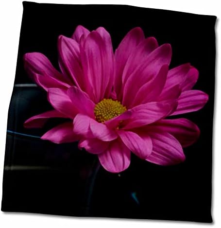 3Droza Bob Molchan Fotografija - Cvijeće - ružičasta tratinčica u vinskom staklu - ručnici