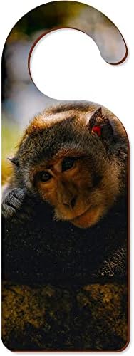 Azeeda 'Pomoći majmun' 200 mm x 72 mm vješalica za vrata
