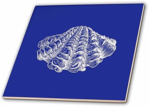 3drose tamno plava Seashell bakropis Print. Moderna Morska Školjka Plaža Okean Keramička Pločica, Multi