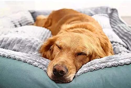 OGGO Reverzibilni pravokutnik kućni ljubimac krevet za pse sa vezom za pse, srednje veličine, od Happycare