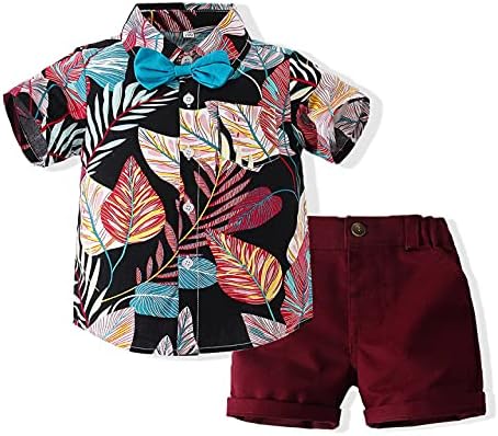 Baby Boy Hotsas setovi Havajska odjeća, dijete za dijete napuštaju cvjetnu majicu s kratkim rukavima Top + Hraštaci odijela